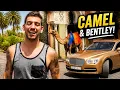 BENTLEY GOLD DIGGER PRANK - HE BROUGHT A CAMEL