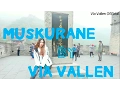 Download Lagu Via Vallen - Muskurane dangdut version d'viva