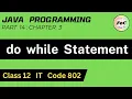 Java Class 12 do while Statement Unit 3 Information Technology IT Code 802 Program