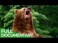 Download Lagu The Strongest | Wild Ones | Episode 1 | Free Documentary Nature