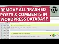 How to Delete All Trashed Posts Comments in WordPress Database using phpMyAdmin