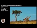 Q27 adaptive feature of plants in the savanna JAMB BIOLOGY 2017 2021 Exam Prep