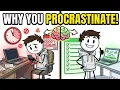 Why You Procrastinate And How to Stop