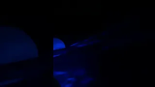 Full Moon Sailing 💫 #sailing #shorts