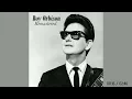 Roy Orbison - There Won't Be Many Coming Home (Remastered by RS 2023)