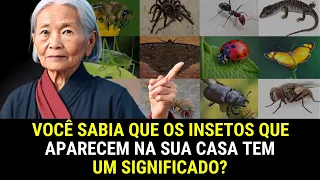Os INSETOS que aparecem na sua casa tem um SIGNIFICADO 🐞🦋🕷️