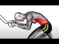 Get Ripped NOW Transform Your Abs with These Secret Exercises