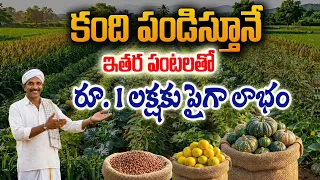 రెండు రకాలుగా ఆదాయం | కంది + అంతర పంటలు |  @Raitunestham
