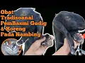 Download Lagu Cara Mengobati Kambing Gudigan || ObatTradisional untuk mengobati Gudig dan Koreng pada kambing