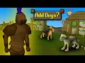 Dogs and Bronzeman Mode coming to Old School RuneScape