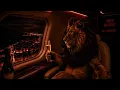 Miky Woodz - Winners (Visualizer) | Everything RiaL