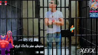 مهرجان هاتلي بيره غناء عصام صاصا كلمات عبده روقه دندنها