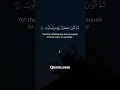 Download Lagu Surah Al-An’am Ayah 1 | Beautiful Quran Recitation by Mishary Rashid Alafasy