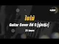 ใบไม้ - 25 hours cover by Guide acoustic กีต้าร์ คีย์ผู้หญิง