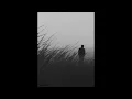 Sufjan Stevens ~ Futile Devices (Doveman Remix)