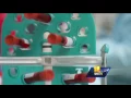 AAMC CareFirst contract could end over reimbursements dispute