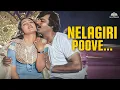 Lagu Nelagiri Poove - Video Song | Kudumbam | Tamil Old Songs | S. N. Surendar, S. Janaki | Music Video
