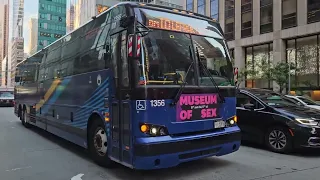 All The M7 QM2 and The QM10 Buses