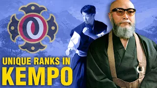 Download What is Shorinji Kempo MP3
