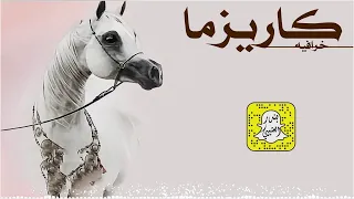 كاريزما خرافيه والجديل اللي على المتن منهلي رقمها الاول على البيض معتلي اداء سعد محسن 2025حصريا 