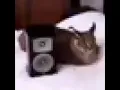 Como Te Voy A Olvidar But It's Bad Quality