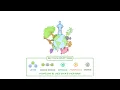 GCSE Biology - Carbon Cycle & Water Cycle (2027/28 exams)