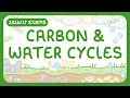 GCSE Biology - Carbon Cycle Water Cycle exams