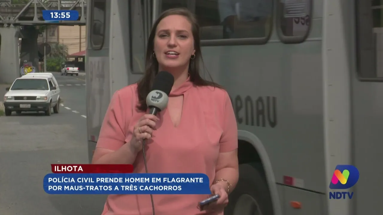 Ilhota: Polícia Civil prende homem em flagrante por maus-tratos a três cachorros