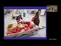 Download Lagu Kentucky 4-H Horse Program Horse Science 101: Steps to Necropsy