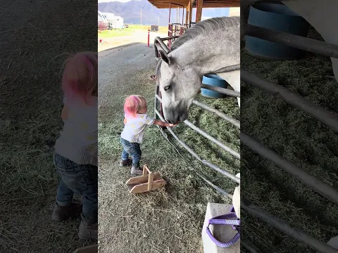 Sweet girls outside got carrots too #farmlife #HorseLife #horses
