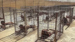 هذا السجن السري في روسيا يصيبك بالقشعريرة توب 10 