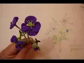Mini Plant Papaver rhoeas corn poppy Part 2 wire and assembly