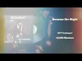 10,000 Maniacs - Because the Night (Vinyl Visualizer)