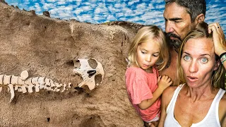 Strangest Beach Find EVER 💀 Sailing Vessel Delos Ep. 448