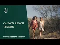 Canyon Ranch Tucson Tour Sonoran Desert Wellness Retreat