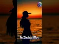 Download Lagu Tu Zindagi Meri [The Very Best Hindi Mp3 Love Songs Album. Vol # 02] #bollywoodtunes