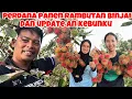 Download Lagu KESERUAN PANEN RAMBUTAN BARENG PUTRI DAN SEMUA DAN BEGINI UPDATE AN KEBUNKU MP3