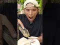 Download Lagu Makan Permen Keras Lagi, tapi kali ini di geprek eh malah piring nya yang pecah
