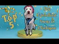 Top 5 Dog Friendly Towns in Michigan