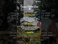 Download Lagu Jangan Salah Menilai - Atikah Edelweiss #shorts #fyp