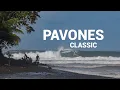 Lagu Pavones Classic | Great Waves All Day (Surf Costa Rica) A selection of the best rides