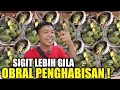 Download Lagu PARAH ! KIOS SIGIT MAKIN BERULAH, RATUSAN EKOR LOLOHAN DIJUAL HABIS HABISAN HARI INI