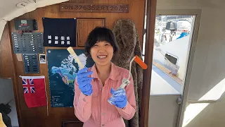 Watching Paint Dry, Live | Wildlings Sailing