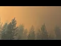 Couple returns home to see damage from Spokane complex fires
