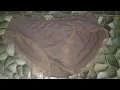 Sempak wanita bekas pakai milik si bohai Tari tetangga kosan.#world #hotpants#trending #worldstory99