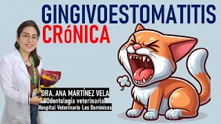 GINGIVOESTOMATITIS CRÓNICA | Con la Dra. Ana Martínez | La Vida Con Gatos 21 #lavidacongatos