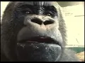 Oliver eats an apple