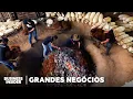 Download Lagu O Raro Licor de Toddy da Índia Pode Se Tornar O Próximo Mezcal? | Insider Português