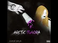 Juice WRLD - Arctic Tundra (WITHOUT NICKI)