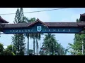 Download Lagu suara jualan ayam potong keliling  ayam segar ..salam dari Pemalang Jawa Tengah